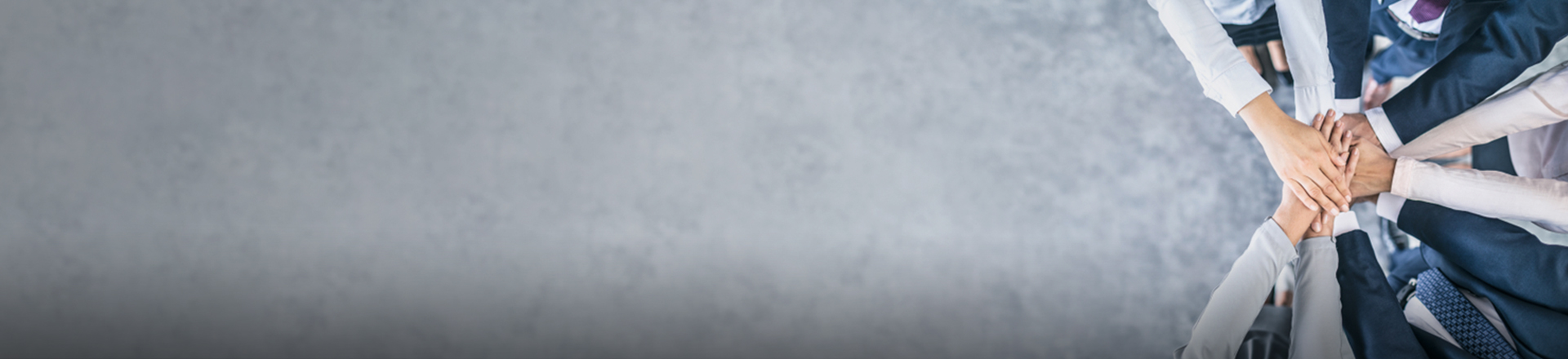 ����w66(�й���)_���������콢